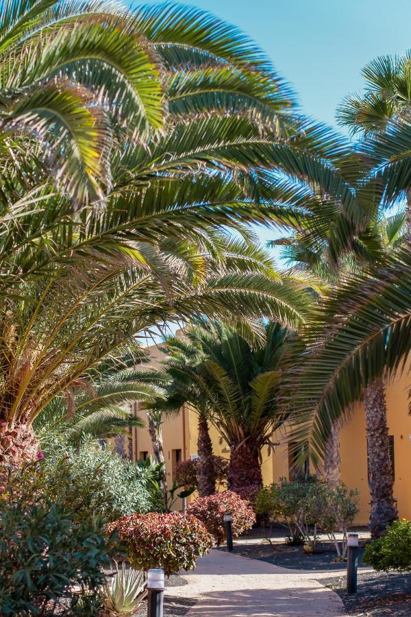Fuerteventura Apartments Tamarindo 1 Corralejo Eksteriør bilde