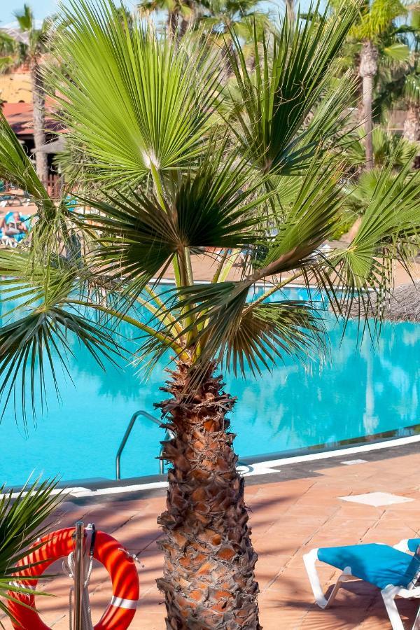 Fuerteventura Apartments Tamarindo 1 Corralejo Eksteriør bilde